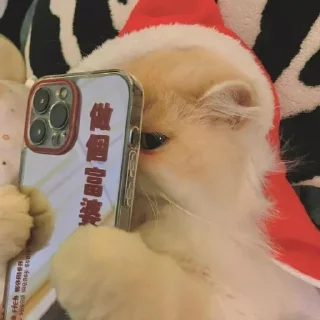 Sticker Devon's Pack. - 7