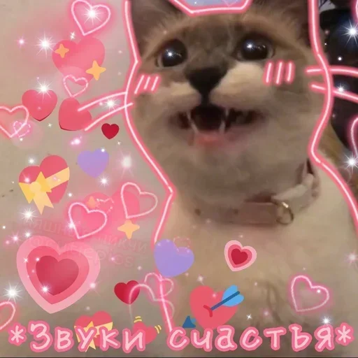 Sticker DfvQfVEgzmdkmjrJYB_by_stickers_stealer_bot - 1