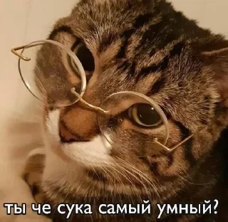 Стикер @stiki_tg_nah_canal - 2