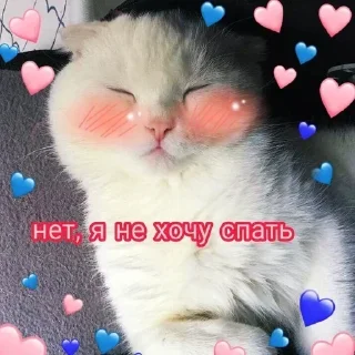 Стикер @stiki_tg_nah_canal - 7