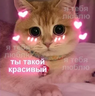 Стикер @stiki_tg_nah_canal - 4