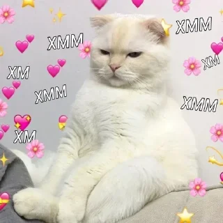 Стикер @stiki_tg_nah_canal - 6