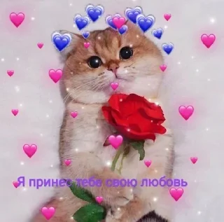 Стикер @stiki_tg_nah_canal - 10