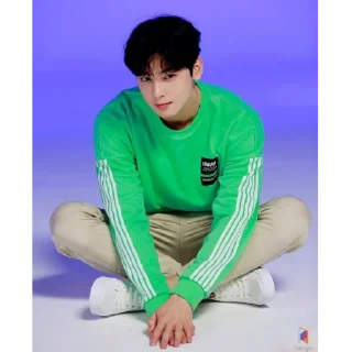 Sticker Cha Eunwoo - 1