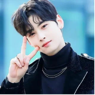 Sticker Cha Eunwoo - 8