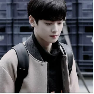 Sticker Cha Eunwoo - 7