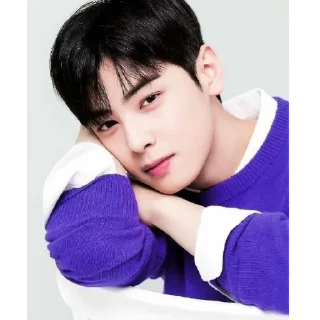 Sticker Cha Eunwoo - 11