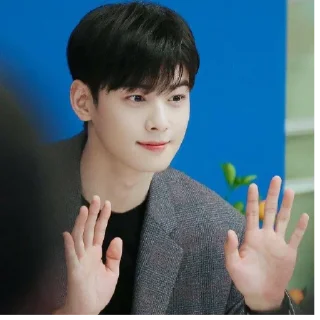 Sticker Cha Eunwoo - 2