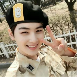 Sticker Cha Eunwoo - 0