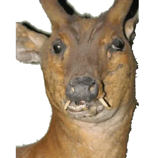 Стикер Больше стиков тут: @stikery4 - 0