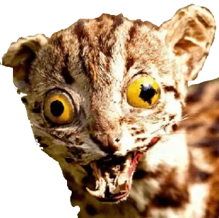 Стикер Больше стиков тут: @stikery4 - 1