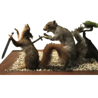 Стикер Больше стиков тут: @stikery4 - 7