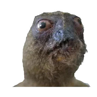 Стикер Больше стиков тут: @stikery4 - 6