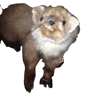 Стикер Больше стиков тут: @stikery4 - 10