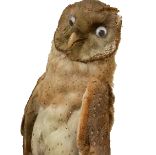 Стикер Больше стиков тут: @stikery4 - 4