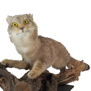 Стикер Больше стиков тут: @stikery4 - 3