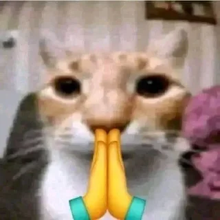 Стикер Pets☠️ - 8