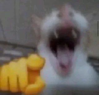 Стикер Pets☠️ - 5