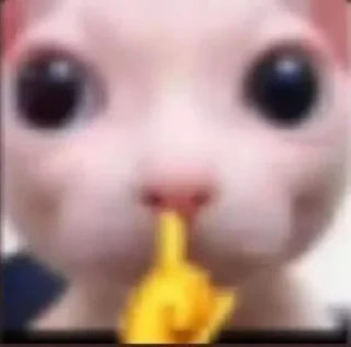 Стикер Pets☠️ - 9