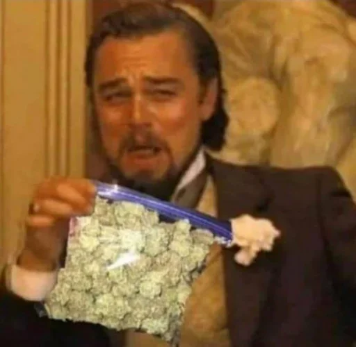 person human face man