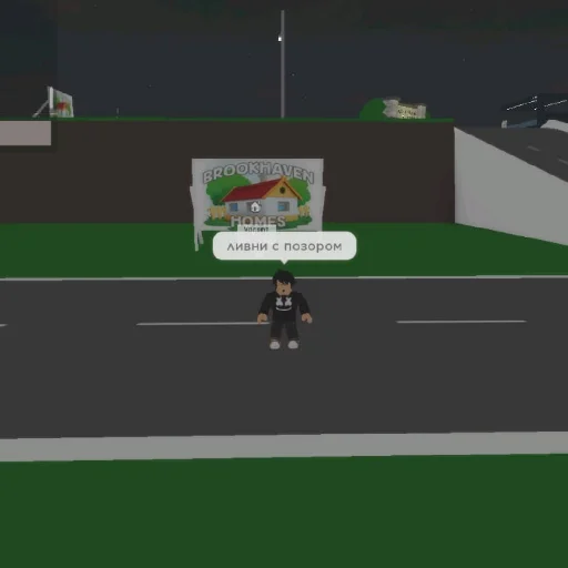 Sticker DialogiZudika - 1