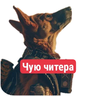 Стикер Diaverse Cyberpets - 5