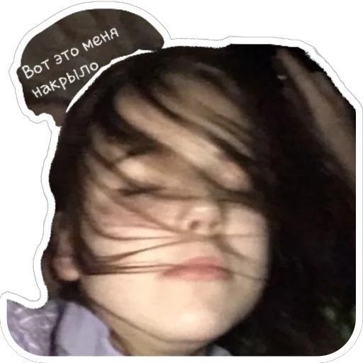 Sticker DichZasekrecheno - 1