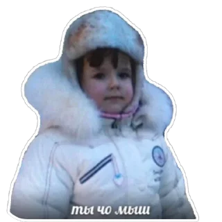 Sticker Дичь|Засекречено - 3