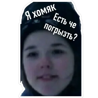 Sticker Дичь|Засекречено - 7