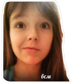 Sticker Дичь|Засекречено - 5