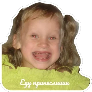 Sticker Дичь|Засекречено - 9