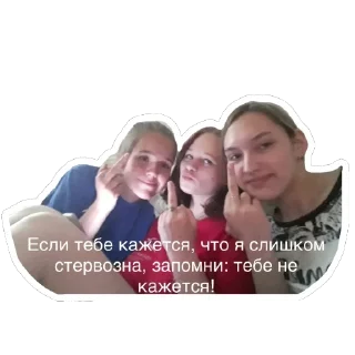 Sticker Дичь|Засекречено - 10