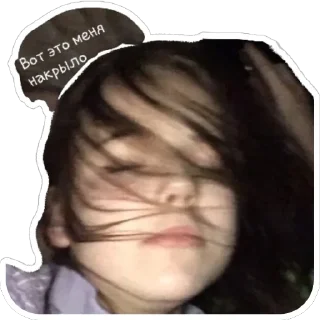 Sticker Дичь|Засекречено - 1