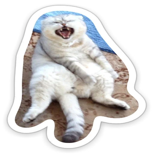 кошка кошачьи мех