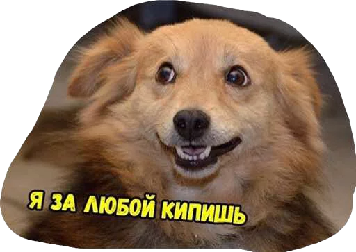 Стикер Дикпик только без дикпиков - 11