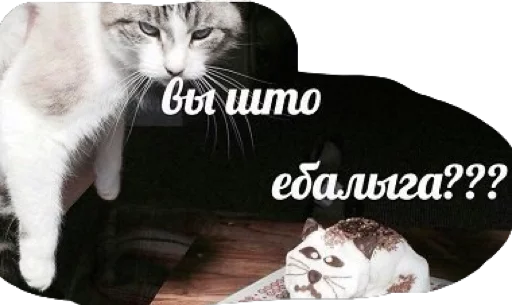 Стикер Дикпик только без дикпиков - 10