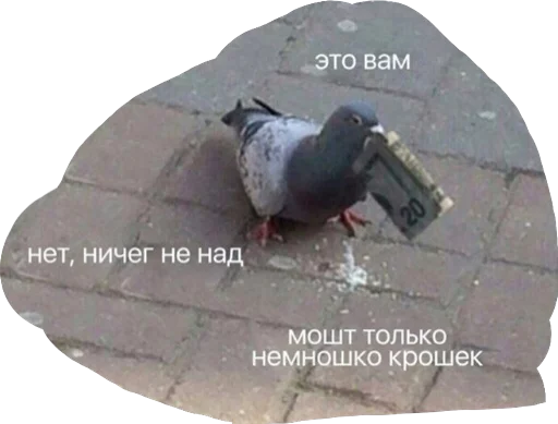 Стикер Дикпик только без дикпиков - 6