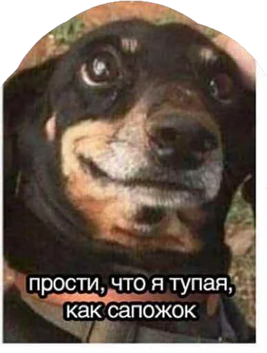 Стикер Дикпик только без дикпиков - 1