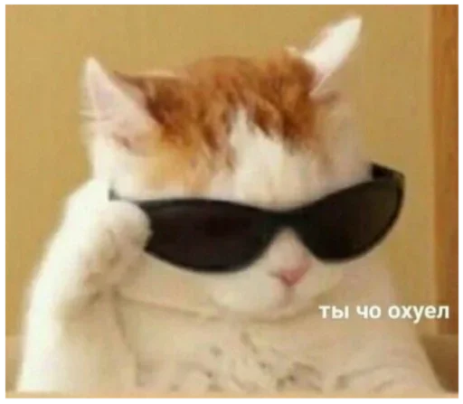 Sticker Dididi16_by_fStikBot - 1