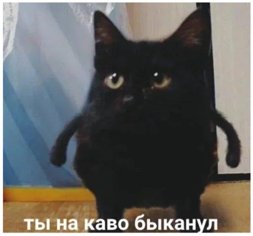 Sticker Dididi16_by_fStikBot - 1