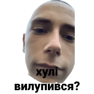 Sticker Бобік - 2