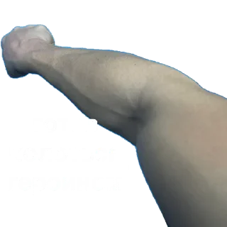 Стикер Борцы молодцы - 1