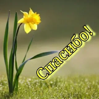 Sticker Больше стикеров 👉🏻 @stickertg4 - 3