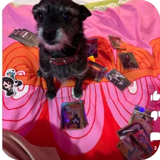 Sticker Диджитал - 9