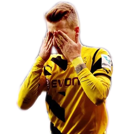 Sticker DieBorussen - 1