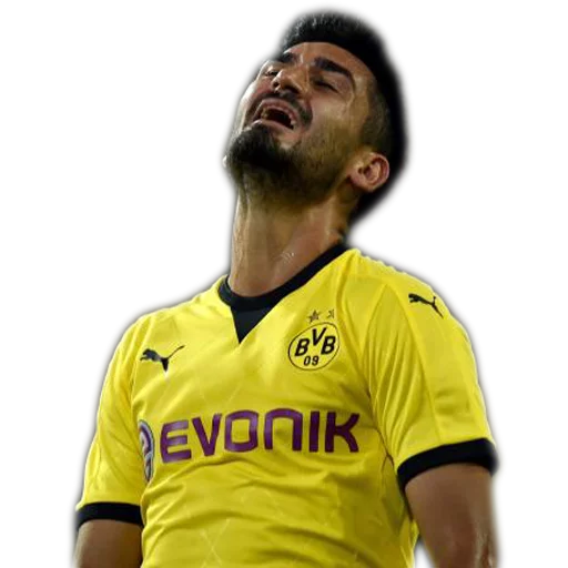 Sticker DieBorussen - 1