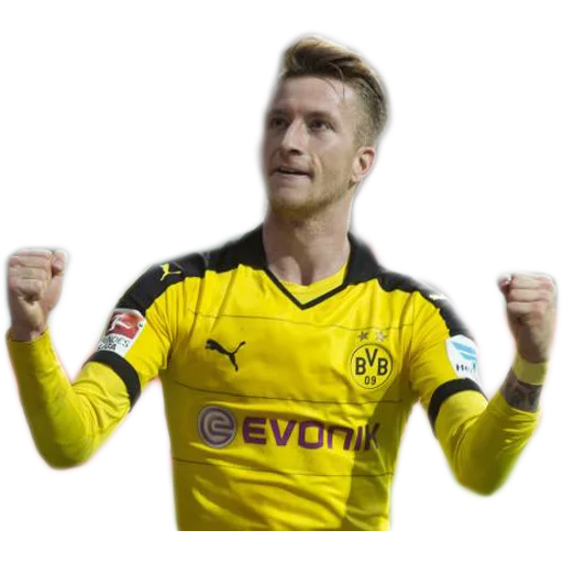 Sticker DieBorussen - 1