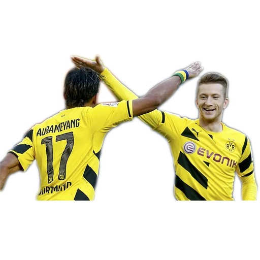 Стикер DieBorussen - 1