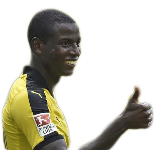 Sticker DieBorussen - 1