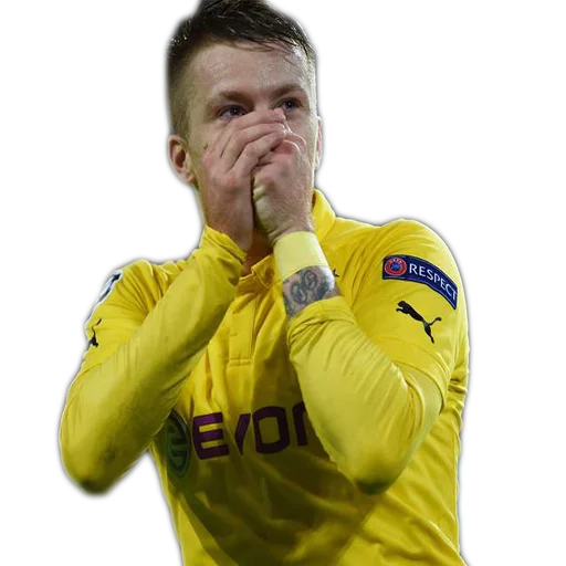 Стикер DieBorussen - 1